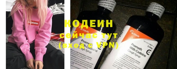 хмурый Вяземский
