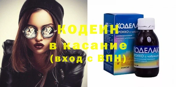 хмурый Вяземский