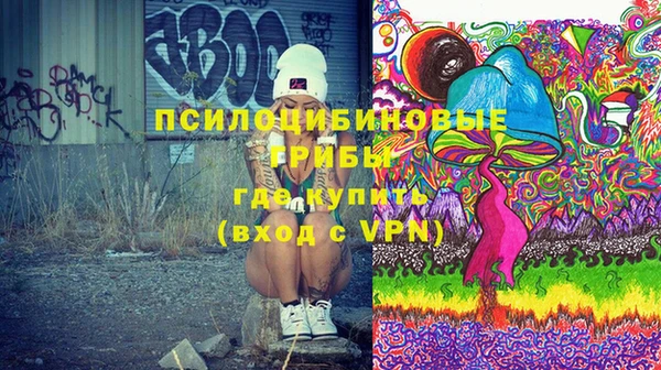 хмурый Вяземский