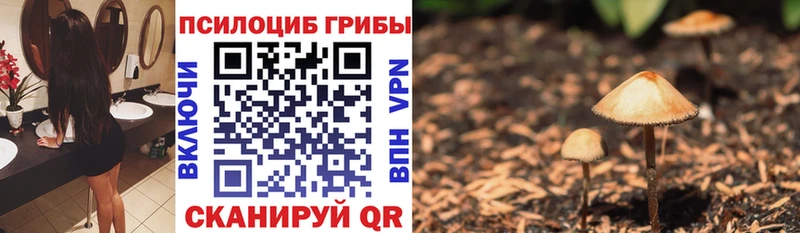 Галлюциногенные грибы Psilocybine cubensis  купить наркотики цена  Кадников 